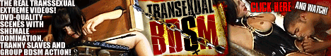 Transexualbdsm